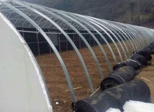 建造溫室大棚應(yīng)注意的四個(gè)要點(diǎn)