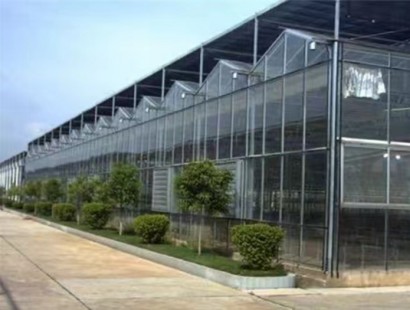 玻璃溫室