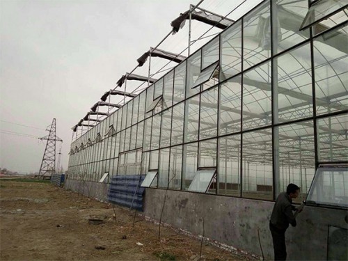 智能薄膜連棟溫室